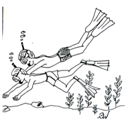 Croatia - Snorkeling Boat Trip